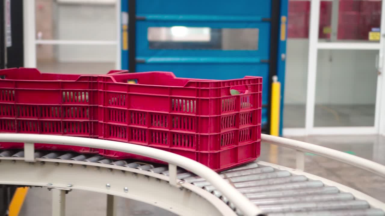 tecnología de embalaje de aguacates 2 en uruapan, michoacán