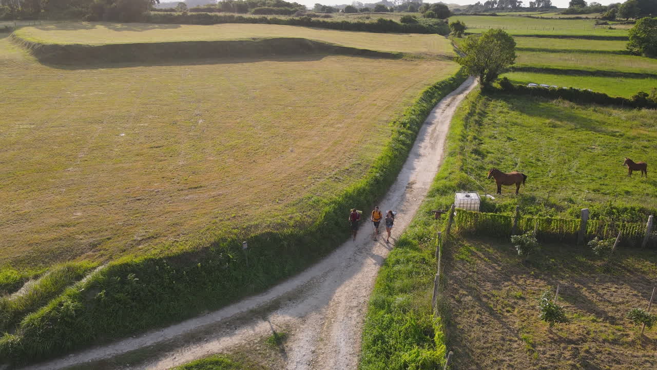 화창한 날 거리에서 래브라도 개와 놀고 있는 젊은 남녀
