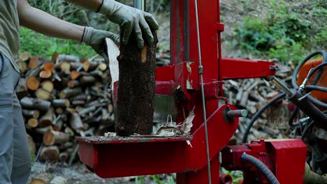 woodsman cutting and clipping wood trunks using a woodwork machinery, lumberman and carpentry worker, blade cuts wood in pieces