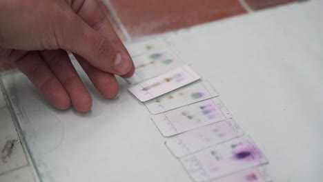 científico comparando diferentes resultados de un experimento en el laboratorio