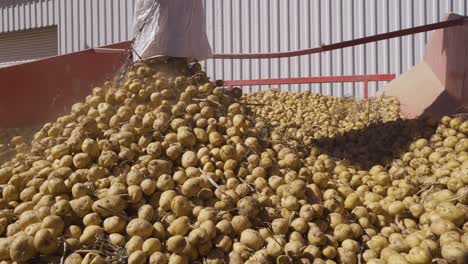 Patatas-Que-Se-Caen-Del-Saco.