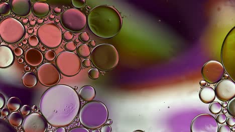 abstract colorful food oil drops bubbles and spheres flowing