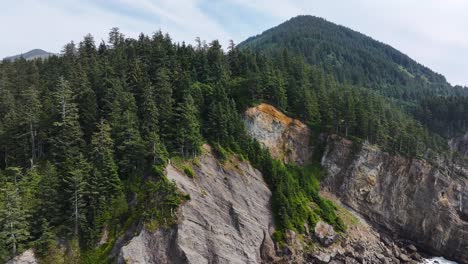 Crane-Shot-from-Ocean-to-Forest