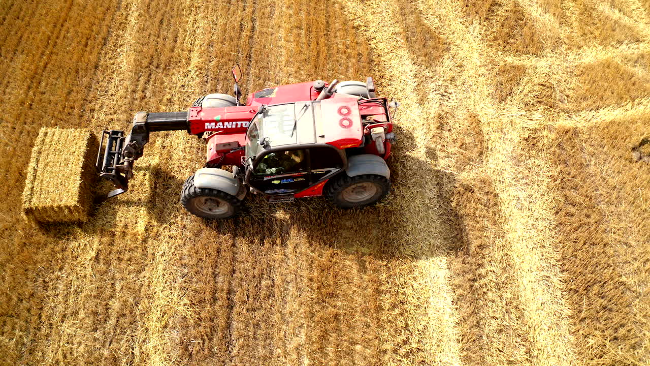 Tractor collects hay on the field. Farmers collect haystacks and put them on tractor trailer