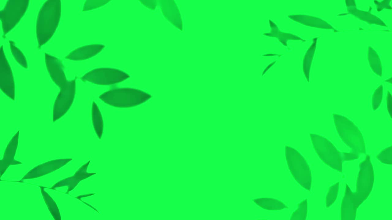 Leaf shadow animation, transparent 4K video, green screen