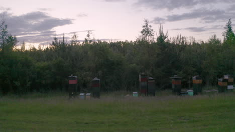 Grüne-Bienenstöcke-Auf-Einem-Feld,-Entlang-Eines-Waldes-In-Einer-Landschaft-In-Tschechien-Bei-Sonnenuntergang