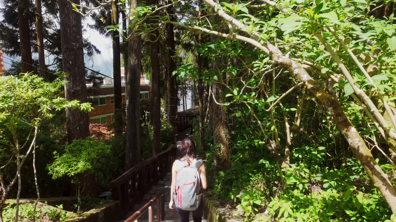 A girl walks on a scenic hiking trail in the national forest of Alishan Region, Taiwan