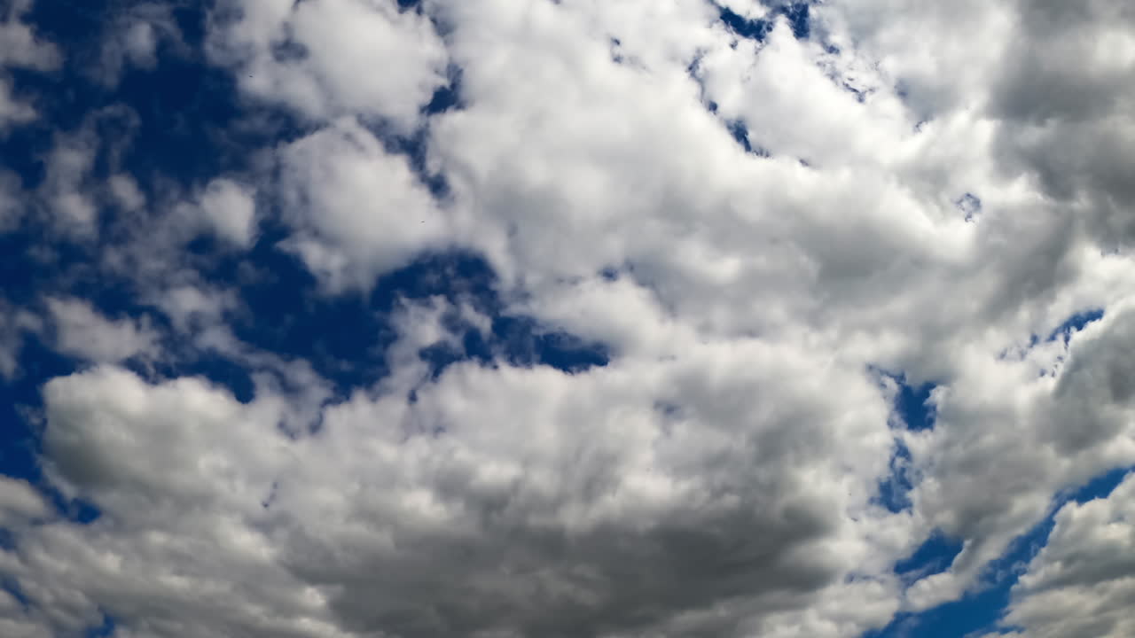 Quick transformation of the cloudscape in the summer sky. Low angle view at the fluffy clouds. Timelapse