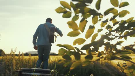 Músico-Ensayando-En-El-Campo-De-Trigo-Durante-La-Hermosa-Puesta-De-Sol