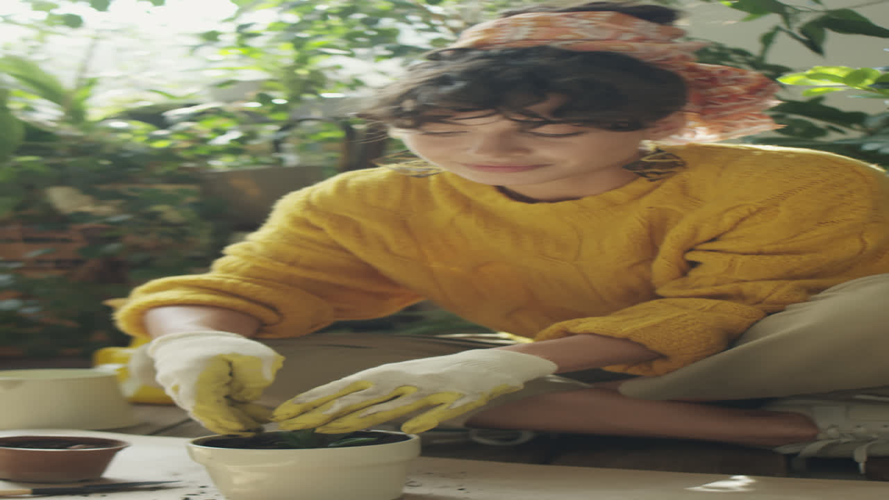 Woman Repotting Succulent Houseplant
