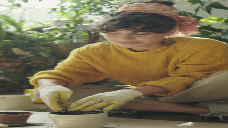 woman repotting succulent houseplant