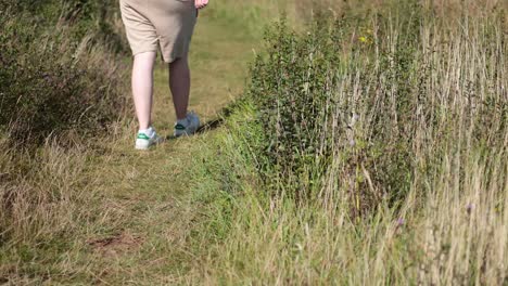 person walking along a grassy garden path