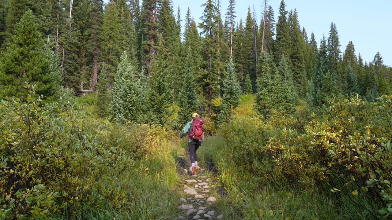 Back View of Woman With Backpack Walking on Hiking Trail in Pristine Mountain Landscape