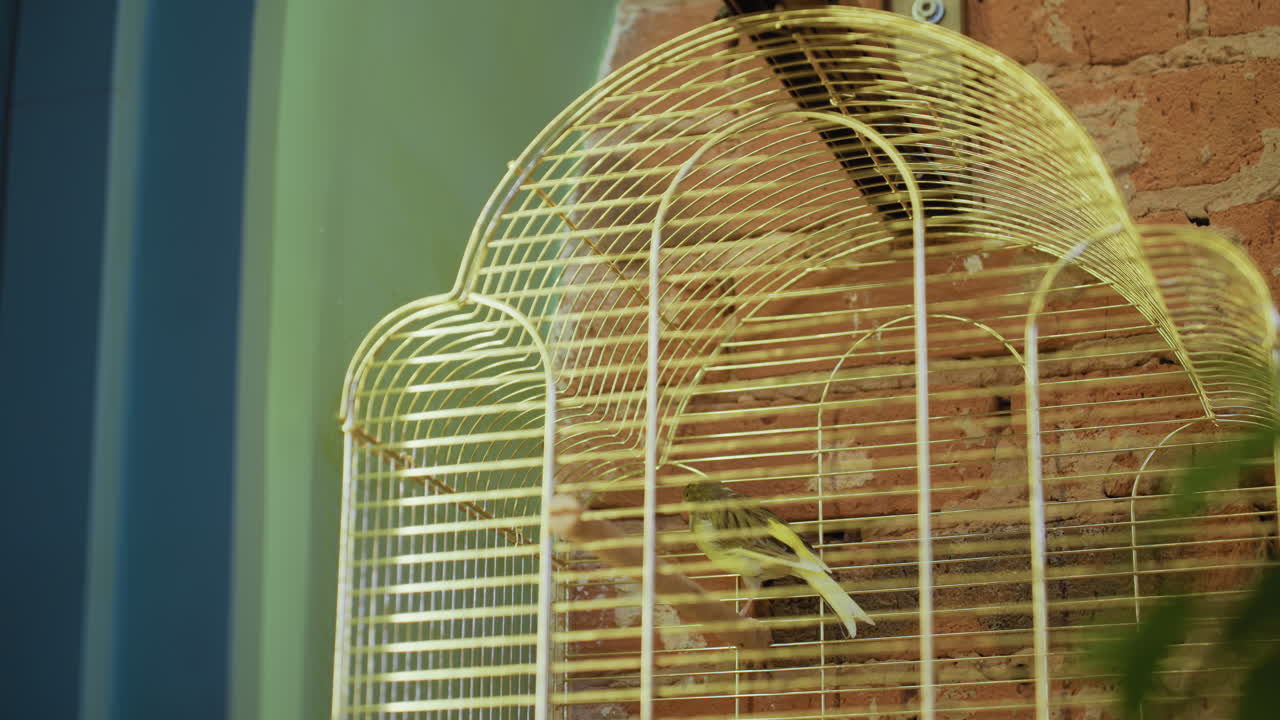 Green bird with black highlights perches inside vertical metal cage near climbing green leaf, with rustic brick wall and soft ambient lighting creating natural, peaceful indoor scene