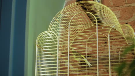 green bird with black highlights perches inside vertical metal cage near climbing green leaf, with rustic brick wall and soft ambient lighting creating natural, peaceful indoor scene