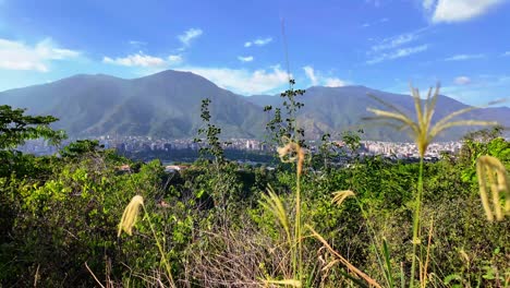 Panoramic view of Avila Mountain in Caracas exuding serenity and beauty
