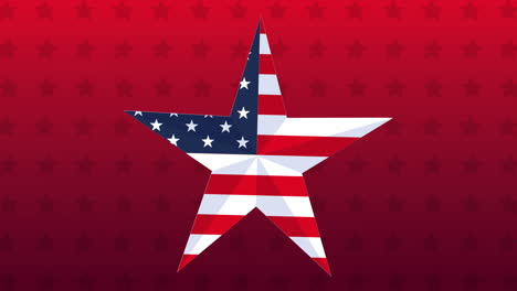 united states of america flag in star