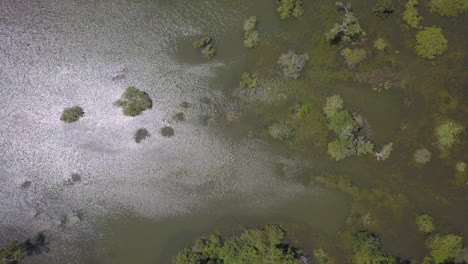 bird's eye view of spectral sun highlights on flooded swamp wetland