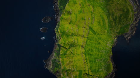 aerial view of a vibrant green island coastline