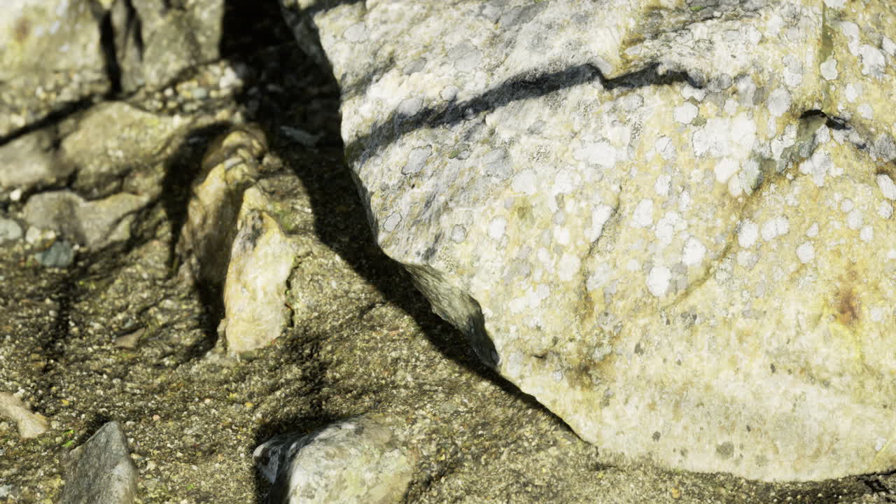 Shoreline rock formations with unique textures and sunlit patterns