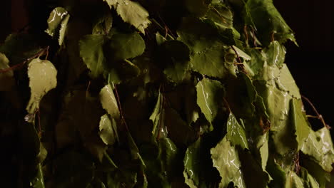 birch broom in a sauna/banya