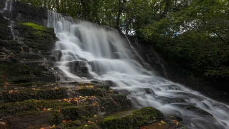 time lapse of forest waterfall in rural landscape during autumn in ireland
