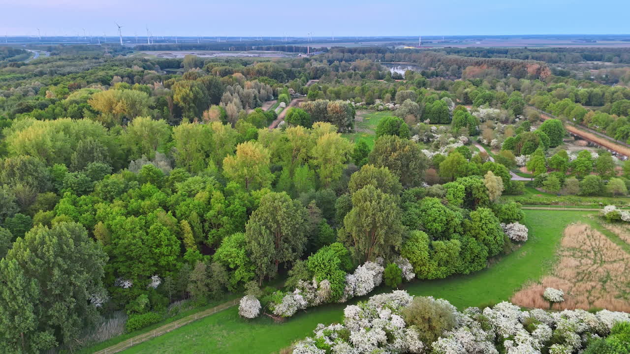Blooming trees in green park. Aerial view of a sprawling park filled with vibrant green trees and blooming flowers during springtime near a river