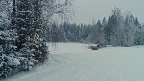 Snow-fall-in-a-frozen-forest-with-modular-cabin-room-in-open-field