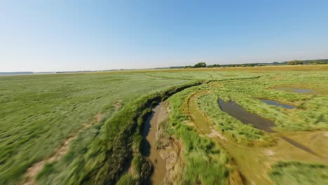 Fpv-drohnenschuss,-Der-Mit-Hoher-Geschwindigkeit-In-Einem-Naturpark-Unter-Einem-Klaren-Blauen-Himmel-über-Einen-Schmalen-Graben-Fliegt