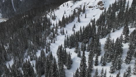 Ski-tracks-in-on-the-side-of-a-mountain-in-the-Colorado-Rocky-Mountains