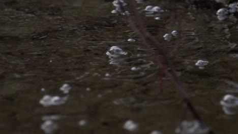 Cullen-Gardens-Central-Park-in-Whitby-River-with-Bubbles-Floating,-Close-Up-Shot