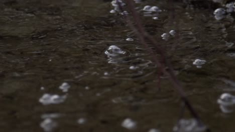 cullen gardens central park in whitby river with bubbles floating, close up shot