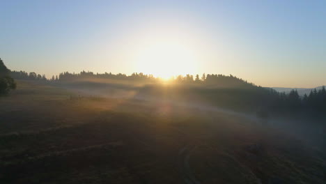 fly over the fields and discover the sunrise