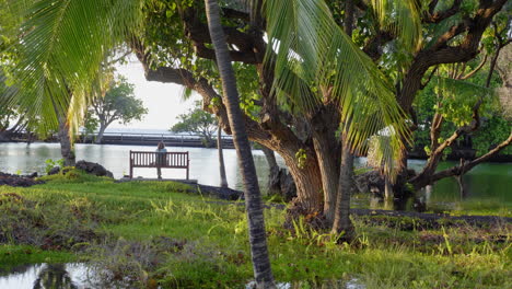 woman photographer at mauna lani fish ponds, hawaii