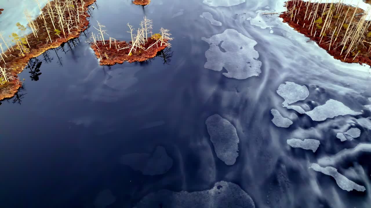 drone aéreo de primer plano lago congelado y plantas amarillas secas en invierno agua helada fría