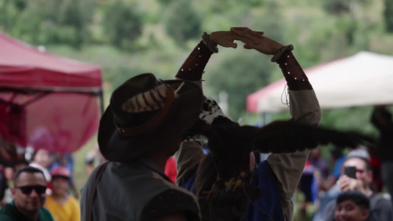 Eagle passing between the arms of a woman at a raptor show. Slow motion