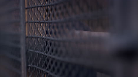 Fence-mesh-netting-at-sunset-close-up.-Metallic-grid-surface-construction.