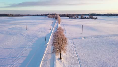 一條空白的鄉村路被白雪覆蓋,空中飛往後面射擊