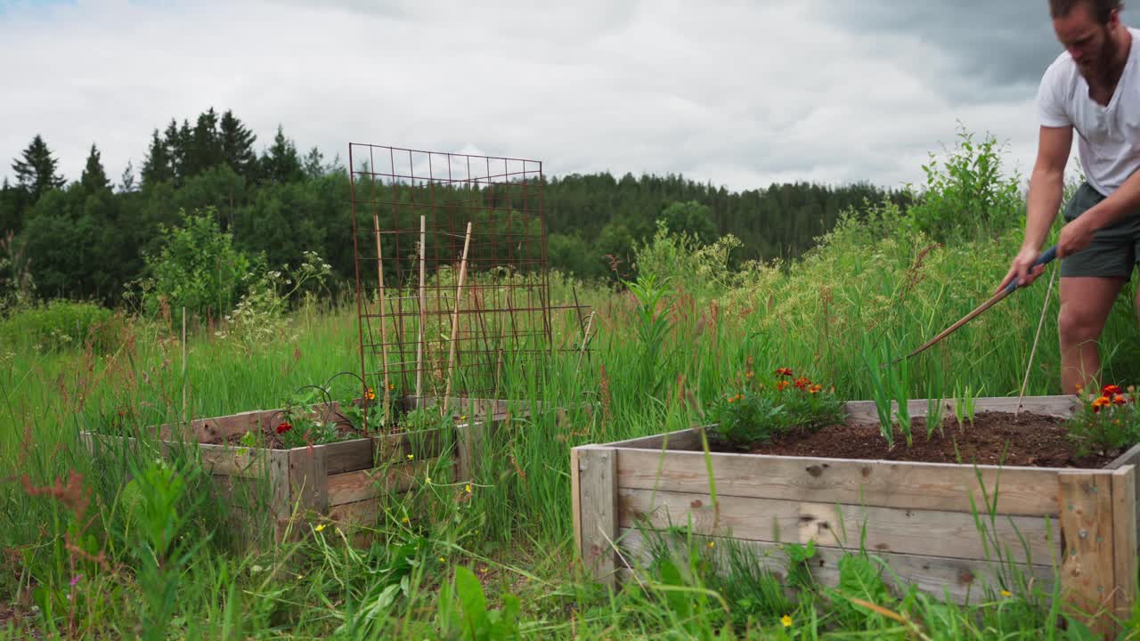hombre quitando y cortando la hierba con la hoz - ancho