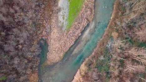 Toma-Aérea-De-Arriba-Hacia-Abajo-De-águilas-Calvas-Y-Gaviotas-Volando-Sobre-Un-Arroyo-Azul-Lleno-De-Salmón-En-Harrison-Mills,-Columbia-Británica,-Canadá