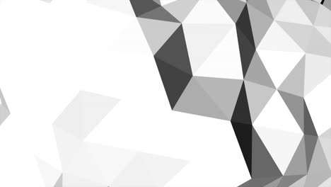 Motion-dark-white-low-poly-abstract-background-13