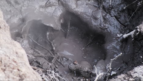 hot steaming and bubbling mud pit from geothermal activity