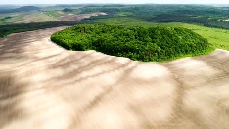 beautiful space landscape. aerial view of mystical green trees island on a field