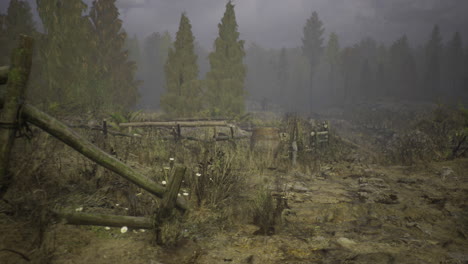 misty forest path with abandoned wooden fence and barrel