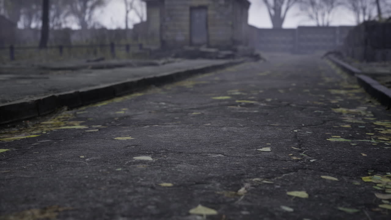 Sentiero con foglie cadute in un ambiente nebbioso e abbandonato durante l'autunno