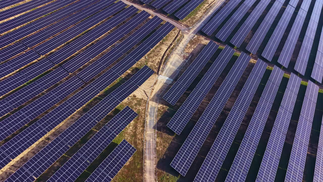 Solcellepaneler dækker et stort areal på et vedvarende energianlæg på landet i dagslys.