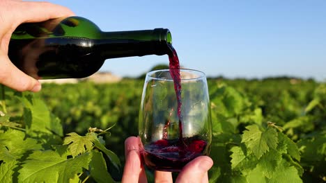 red wine being poured into a glass