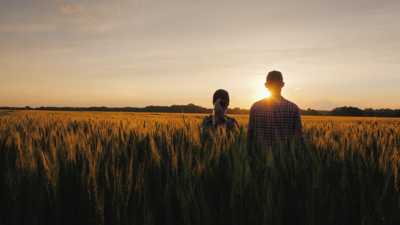 두 명의 농부 한 남자와 한 여자가 밀밭에서 일몰을 고대하고 있습니다.