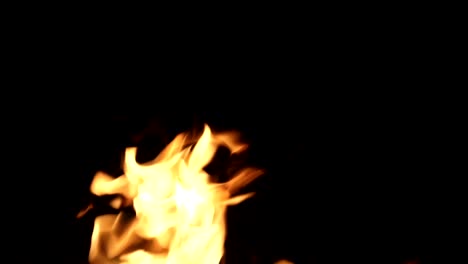 llama de fuego en el bucle de la noche. alfa mate de fondo negro. uhd video de stock
