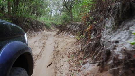 Conducción-De-Vehículos-Fuera-De-La-Carretera-Pista-Fangosa-En-La-Vegetación-Forestal